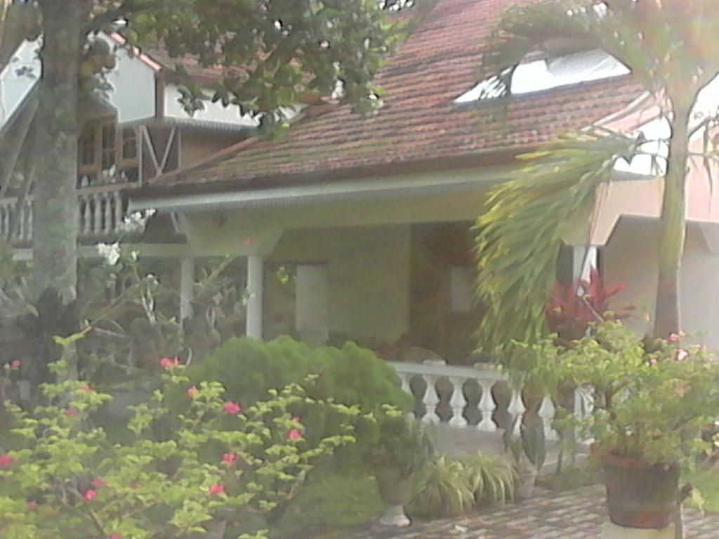 Villa Pala Negombo Bagian luar foto